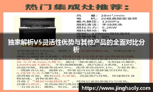 独家解析V5灵活性优势与其他产品的全面对比分析